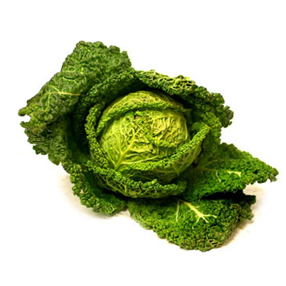 Large Savoy Cabbage each – Bloom & Veg